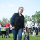 CAC kutyakiállítás (Fotó: Nagy Mária)