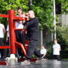 Sport és Egészségnap Mosonmagyaróvár (Fotó: Stipkovits Veronika és Bánhegyi István)