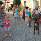 KULT - UTCA Hobbi nap (Fotó: Nagy Mária)