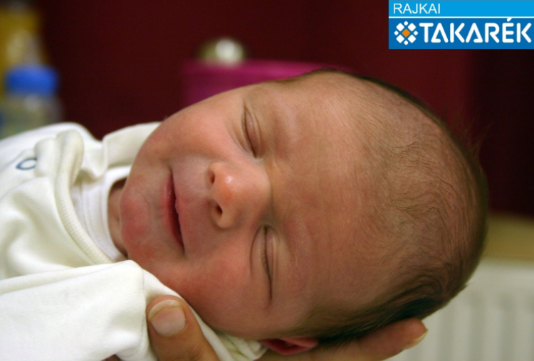 Göblyös Bence, Hanságliget