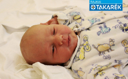 Szabó Buti Zoltán, Levél