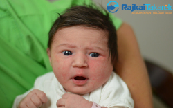 Gál Kiara Luna, 3380 gr. Jánossomorja