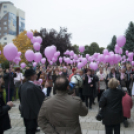 Egészség Hídja Összefogás - Lajtahidi séta