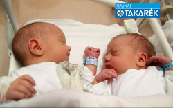 Lenzsér Gergő, Lenzsér Áron, Bősárkány