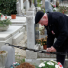 2015. MÁRCIUS 15. Mosonmagyaróvár (Fotó: Horváth Attila)