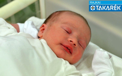 Erdélyi-Gere Ádám, Csorna