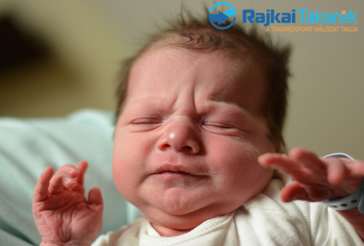 Hajdu Zalán, Levél