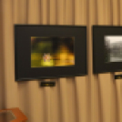 TERMÉSZETI ÉRTÉKEINK Fotókiállítás 