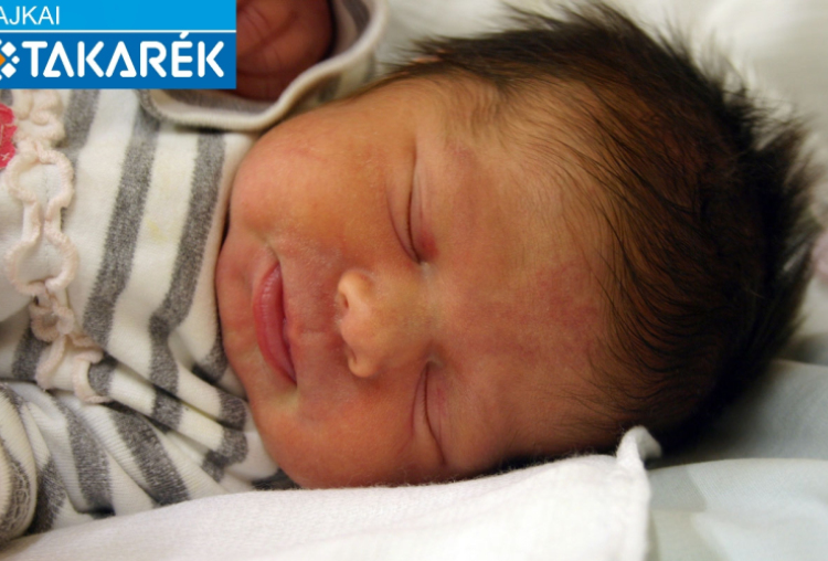 Lukács Petra Lia, Mosonmagyaróvár