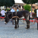 KULT-UTCA - Prózai líranap