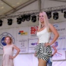 Szigetköz ízei, vármegye borai fesztivál / VÁRMEGYE SZÉPE - VÁRMEGYE HANGJA (Fotó: Horváth Attila)