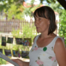 Entente Florale Day Mosonmagyaróvár - Virágzó Város Mosonmagyaróvár (Fotó: Bánhegyi István)