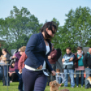 CAC kutyakiállítás (Fotó: Nagy Mária)