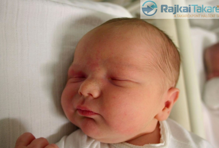 Csepi Dominik, Mosonmagyaróvár