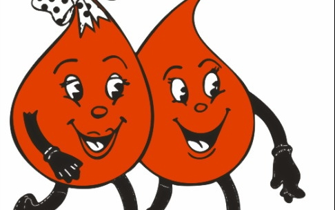 Véradás Hegyeshalomban