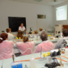 Kutatók éjszakája 2014 Nyugat-magyarországi Egyetem (Fotó: Horváth Attila)