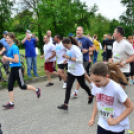 XII. Greiner Szigetköz Minimaraton (Fotó: Horváth Attila)