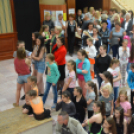 Nyárcsalogató (Fotó: Nagy Mária)