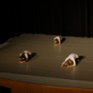 Jótékonysági műsor - Fehér és Máltai Szeretetszolgálat az Éltes iskola javára (Fotó: Horváth Attila)