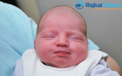 Petrik Nóra, 3080 gr. Bezenye