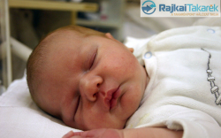 Németh Zoárd, Várbalog