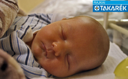 Csapó Csongor Dániel, Kapuvár