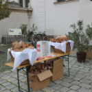 Szent Erzsébet napi kenyér osztás