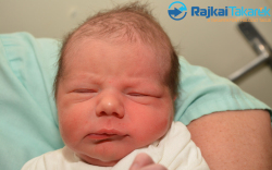 Stuka Roland Lionel, 3220 gr. Dunaremete