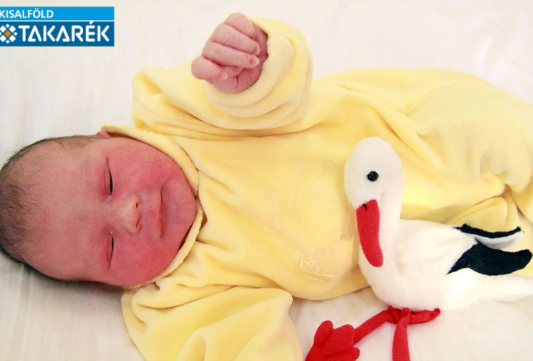 Tóth Máté, Csorna