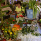 Termény- és virágkiállítás 