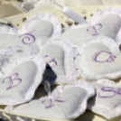 Sport és Egészségnap Mosonmagyaróvár (Fotó: Stipkovits Veronika és Bánhegyi István)