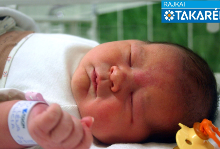 Vig Léna Alicia, Újrónafő