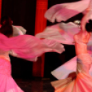 Japán Kert (Fotó: Horváth Attila)