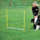 Agility - Hobby Kutyások részére (Fotó: Nagy Mária)