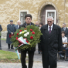 1956-os városi Megemlékezések és Gyásznap /Mosonmagyaróvár/