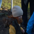 Faültetés a Nolato-nál (Fotó: Nagy Mária)