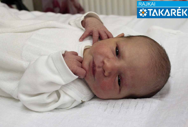 Tonomár Dorka, Darnózseli