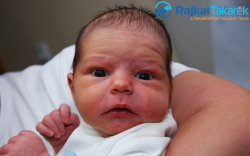 Kovács Gábor Tibor, 3280 gr. Mosonmagyaóv�