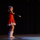 Ünnepi gálaműsor a tánc világnapja tiszteletére - Szigeti Gábor táncpedagógus emlékére