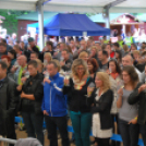 VII. Szigetköz ízei, Vármegye borai fesztivál péntek 2. (Fotó: Nagy Mária)