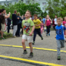 XII. Greiner Szigetköz Minimaraton (Fotó: Horváth Attila)