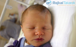 Hartai Dénes, Halászi