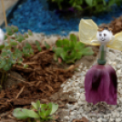 Apró kezek, csodakertek kertépítő verseny (Fotó: Horváth Attila)