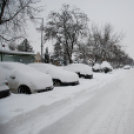 Mosonmagyaróvár Havazás után (Fotó: Nagy Mária)