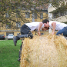 Parasztolimpia 2013 - 1 (Fotó: Nagy Mária)