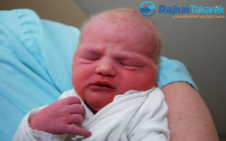 Rigó Bianka, 3620 gr. Kimle