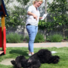 Az Ebuló Kutyaiskola interaktív kutyás bemutatója a Pillangó óvodában (Fotó: Stipkovits Veronika)