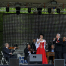 VÁROSI MAJÁLIS 2015 (Fotó: Horváth Attila)