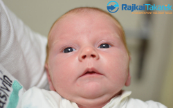 Molnár Levente, 3550 gr. Jánossomorja