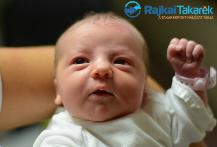 Madai Flóra Csepke, Sopron